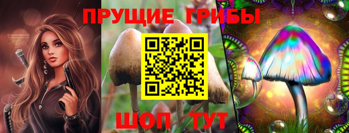 Алушта  Псилоцибиновые грибы Magic Shrooms  Вход с VPN  Псилоцибиновые грибы Psilocybine cubensis 